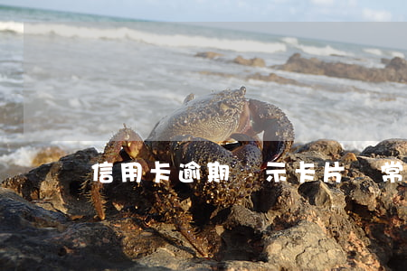 信用卡逾期顯示卡片異常