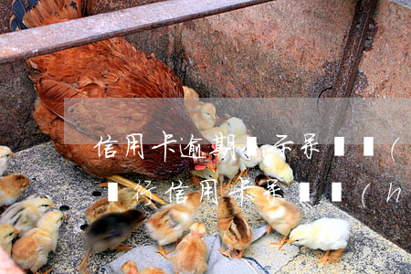 信用卡逾期顯示呆賬會(huì)被起訴嗎(銀行信用卡呆賬會(huì)不會(huì)被起訴)