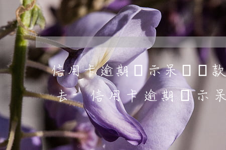 信用卡逾期顯示呆賬還款還不進(jìn)去-信用卡逾期顯示呆賬還款還不進(jìn)去怎么辦