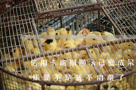 信用卡逾期顯示已變成呆賬(信用報告顯示呆賬是不是就不用還了)