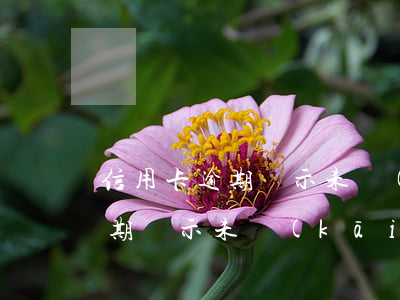 信用卡逾期顯示未開(kāi)通(信用卡逾期顯示未開(kāi)通)