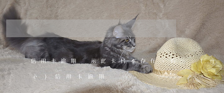 信用卡逾期顯示此卡片不存在-有一個(gè)信用卡逾期