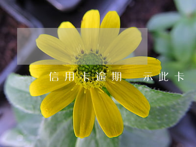 信用卡逾期顯示此卡異常(信用卡逾期記錄)