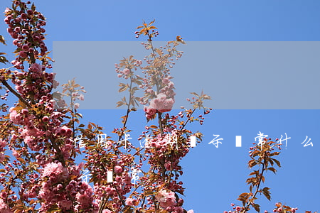 信用卡逾期顯示異常什么意思（信用卡逾期顯示異常）