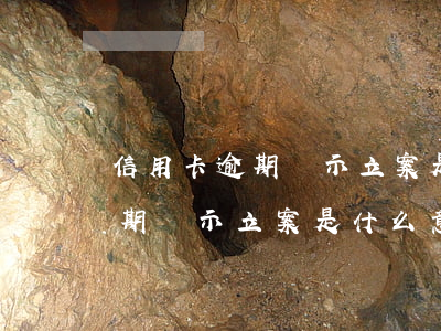 信用卡逾期顯示立案是什么意思-信用卡逾期顯示立案是什么意思啊