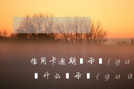 信用卡逾期顯示關(guān)注(沒有逾期為什么顯示關(guān)注)