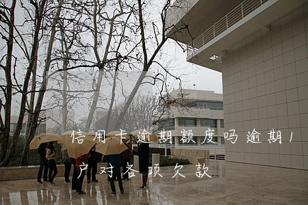 信用卡 逾期 额度吗(逾期1到90天信用卡账户对各项欠款)