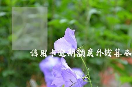 信用卡逾期额度外钱算本金嘛