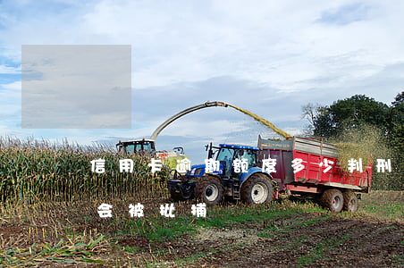 信用卡逾期额度多少判刑(欠信用卡多少额度会被批捕)