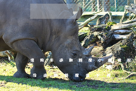 信用卡逾期额度小会被起诉吗 为什么信用卡没逾期额度会下降