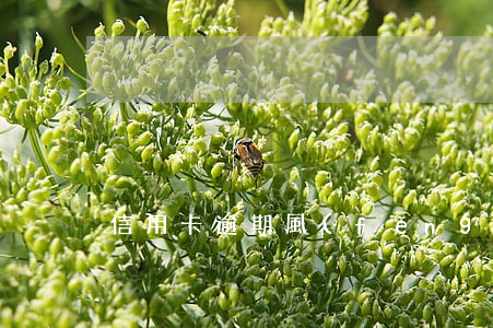 信用卡逾期風(fēng)控升級了