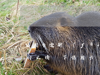 信用卡逾期風(fēng)控審核部是什么(什么情況下信用卡會(huì)被風(fēng)控)