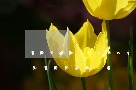 信用卡逾期風(fēng)險處理流程(最新的信用卡逾期處理)