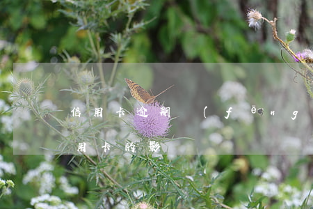 信用卡逾期風(fēng)險論文(逾期對信用卡的影響)