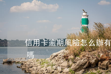 信用卡逾期風險怎么辦(有處理信用卡逾期的嗎)