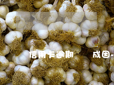 信用卡逾期風險成因-逾期影響申請信用卡
