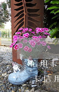 信用卡逾期飆升廣發(fā)(廣發(fā)卡信用卡逾期1天)