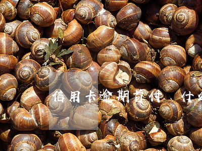 信用卡逾期首付為什么要多拿