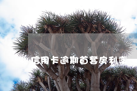 信用卡逾期首套房利率