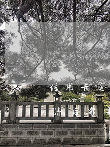 信用卡逾期馬上還清并注銷(逾期的信用卡還清后需要注銷嗎)
