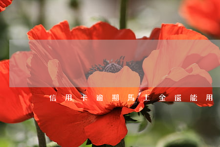 信用卡逾期馬上金還能用嗎