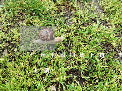 信用卡逾期馬上銷戶有影響嗎（信用卡逾期馬上銷戶）