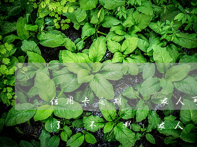 信用卡逾期騷擾家人可以投訴 我信用卡逾期了會不會影響家人