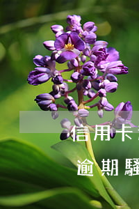 信用卡逾期騷擾家人怎么辦理解除-信用卡逾期騷擾家人怎么辦理解除合同