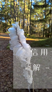 信用卡逾期騷擾家人法律知識(shí)講解-信用卡逾期騷擾家人法律知識(shí)講解內(nèi)容