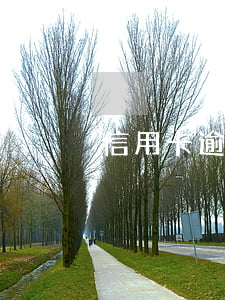 信用卡逾期騷擾怎么處理
