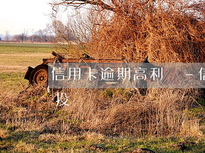 信用卡逾期高利貸-信用卡逾期高利貸怎么投訴