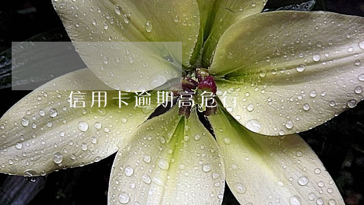 信用卡逾期高危行為 信用卡逾期高危行為
