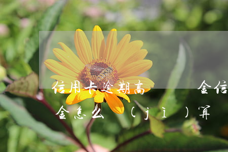 信用卡逾期高額滯納金(信用卡逾期高額滯納金怎么計(jì)算)