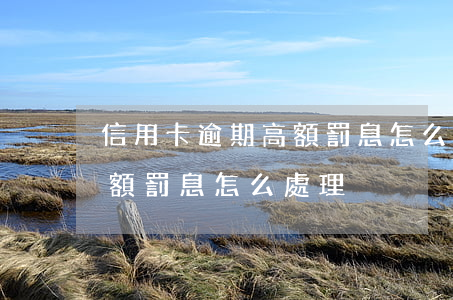 信用卡逾期高額罰息怎么處理(信用卡逾期高額罰息怎么處理)