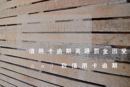 信用卡逾期高額罰金(因受到刑事處罰導(dǎo)致信用卡逾期)