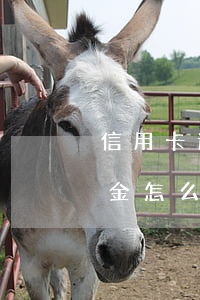 信用卡逾期高額違約金(信用卡逾期高額違約金怎么算)