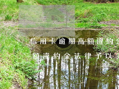 信用卡逾期高額違約金怎么辦(信用卡逾期高額違約金法律予以支持嗎)