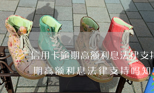 信用卡逾期高额利息法律支持吗-信用卡逾期高额利息法律支持吗知乎