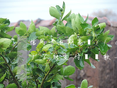 信用卡逾期高風(fēng)險(xiǎn)不能支付寶還款-信用卡逾期高風(fēng)險(xiǎn)不能支付寶還款怎么辦