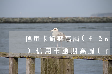 信用卡逾期高風(fēng)險(xiǎn) 信用卡逾期高風(fēng)險(xiǎn)