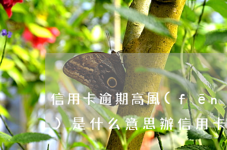 信用卡逾期高風(fēng)險(xiǎn)是什么意思(辦信用卡高風(fēng)險(xiǎn)是什么意思)