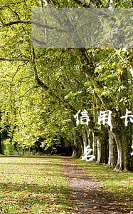 信用卡逾期黑名單不能住宿嗎(信用卡逾期黑名單不能住宿嗎)