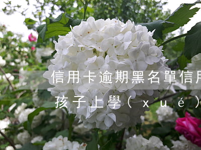 信用卡 逾期 黑名單(信用卡逾期黑名單會影響孩子上學(xué)嗎)