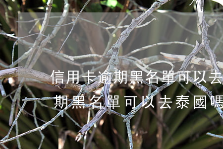 信用卡逾期黑名單可以去泰國嗎-信用卡逾期黑名單可以去泰國嗎知乎