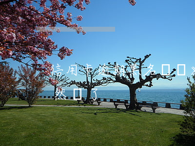 信用卡逾期黑名單嗎》(黑名單辦理信用卡居然過了)