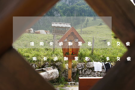 信用卡逾期黑名單多久恢復(fù)征信(信用卡逾期黑名單多久恢復(fù)征信正常)