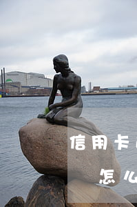 信用卡逾期黑名單怎么解除(信用卡逾期黑名單怎么消除)