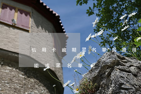 信用卡逾期黑名單房貸(用信用卡逾期多久才能成黑名單)