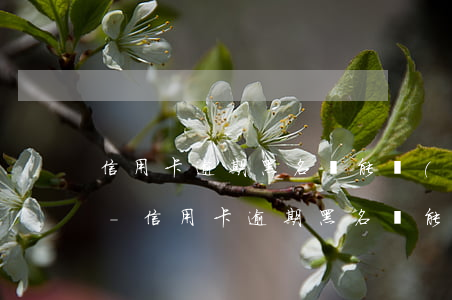 信用卡逾期黑名單能進(jìn)富士康嗎-信用卡逾期黑名單能進(jìn)富士康嗎知乎