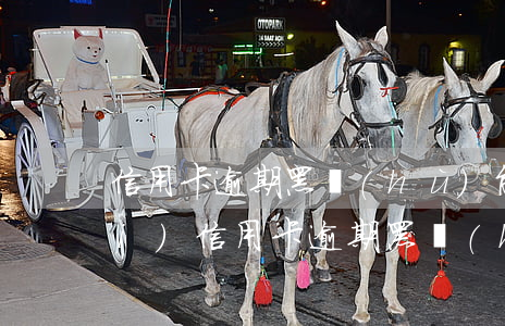 信用卡逾期黑戶(hù)能下款平臺(tái)(信用卡逾期黑戶(hù)能下款平臺(tái))